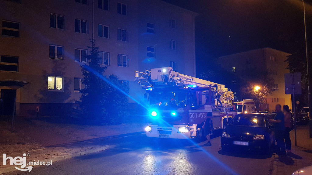 Służby na ratunek zdesperowanej mielczance