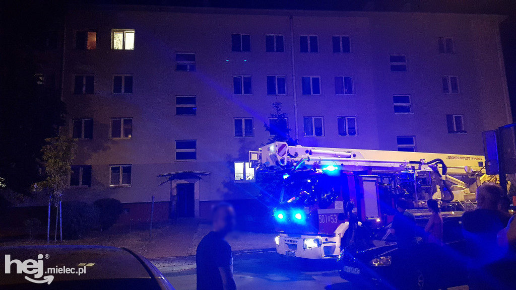 Służby na ratunek zdesperowanej mielczance