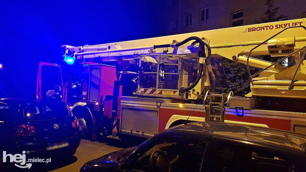 Służby na ratunek zdesperowanej mielczance