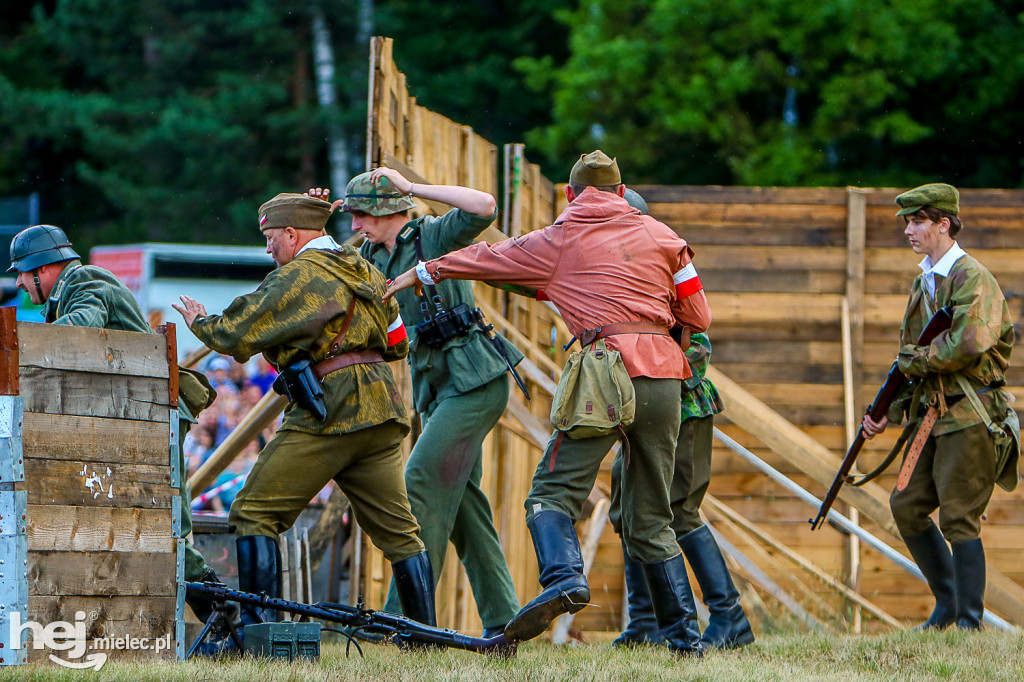 Piknik Historyczny Blizna 2019