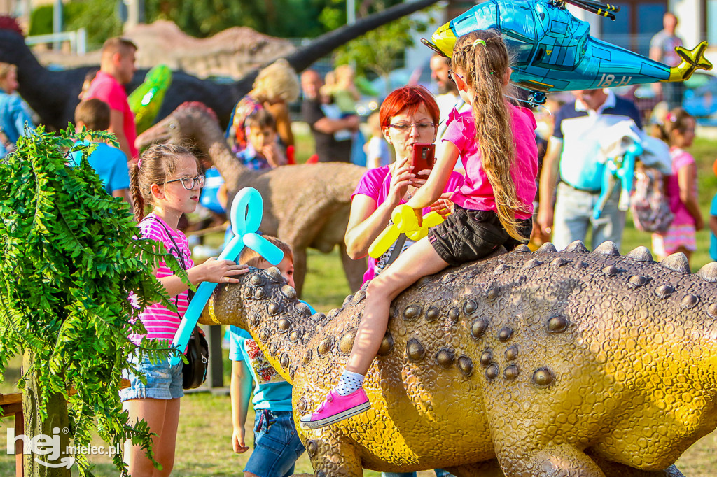 Piknik Grunt to Rodzinka 2019