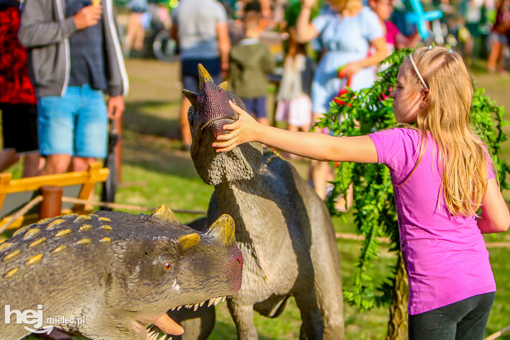 Piknik Grunt to Rodzinka 2019