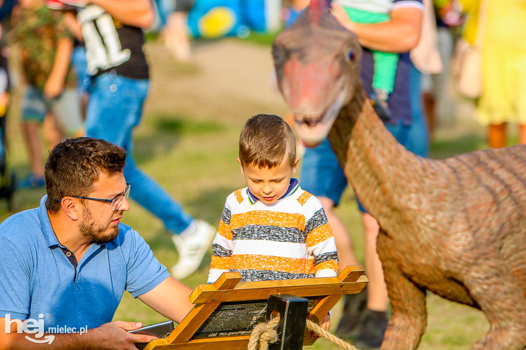 Piknik Grunt to Rodzinka 2019