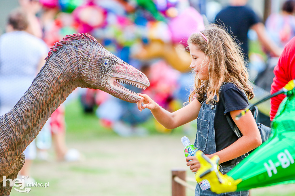 Piknik Grunt to Rodzinka 2019