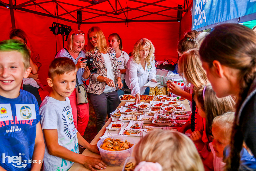 Piknik Grunt to Rodzinka 2019