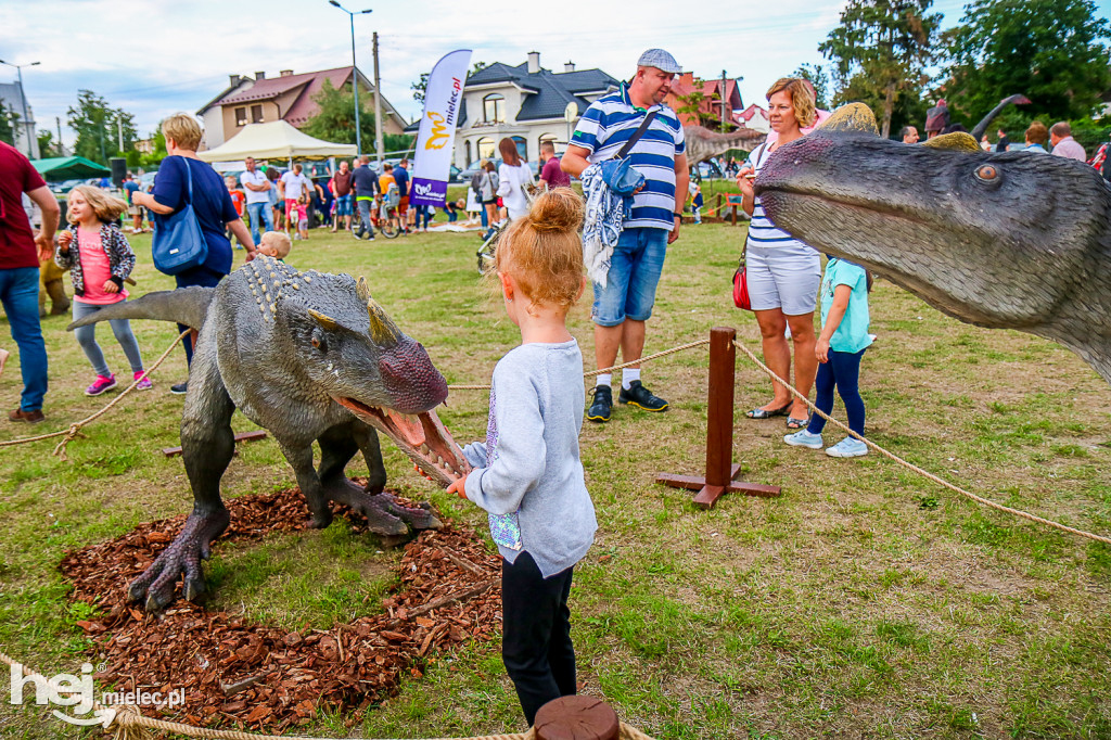 Piknik Grunt to Rodzinka 2019