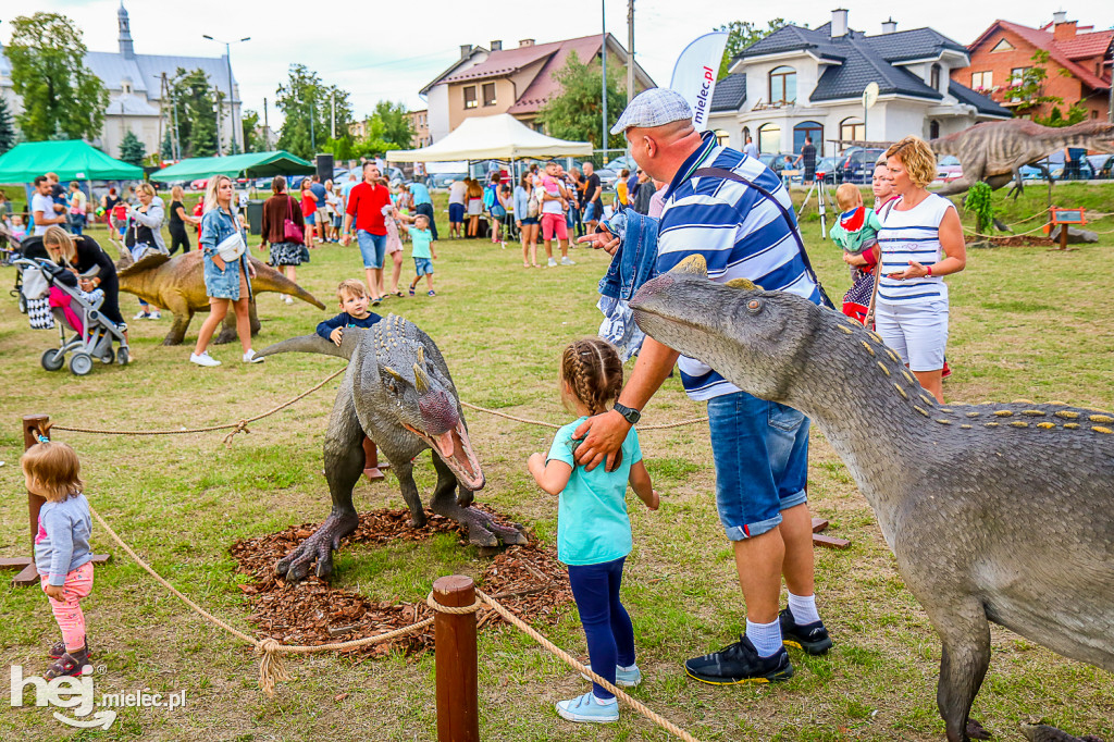Piknik Grunt to Rodzinka 2019