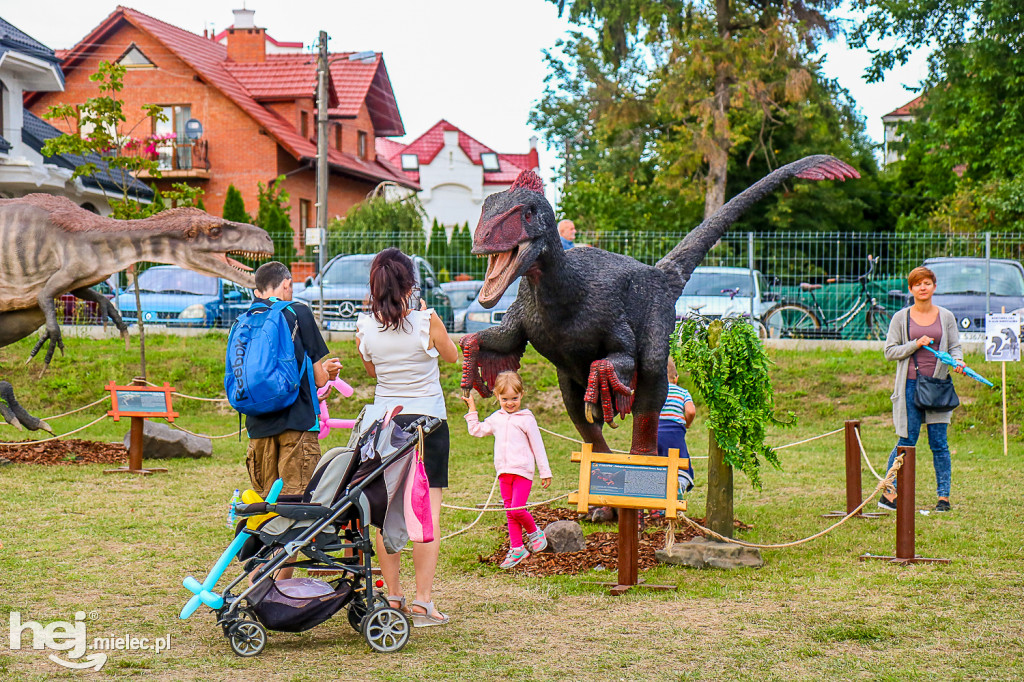 Piknik Grunt to Rodzinka 2019