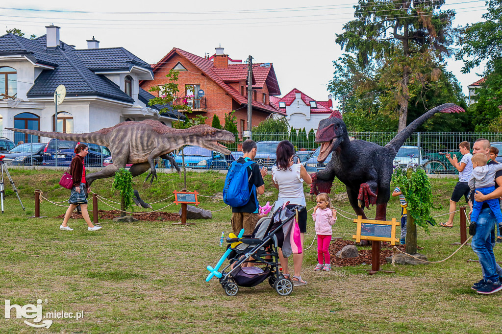 Piknik Grunt to Rodzinka 2019