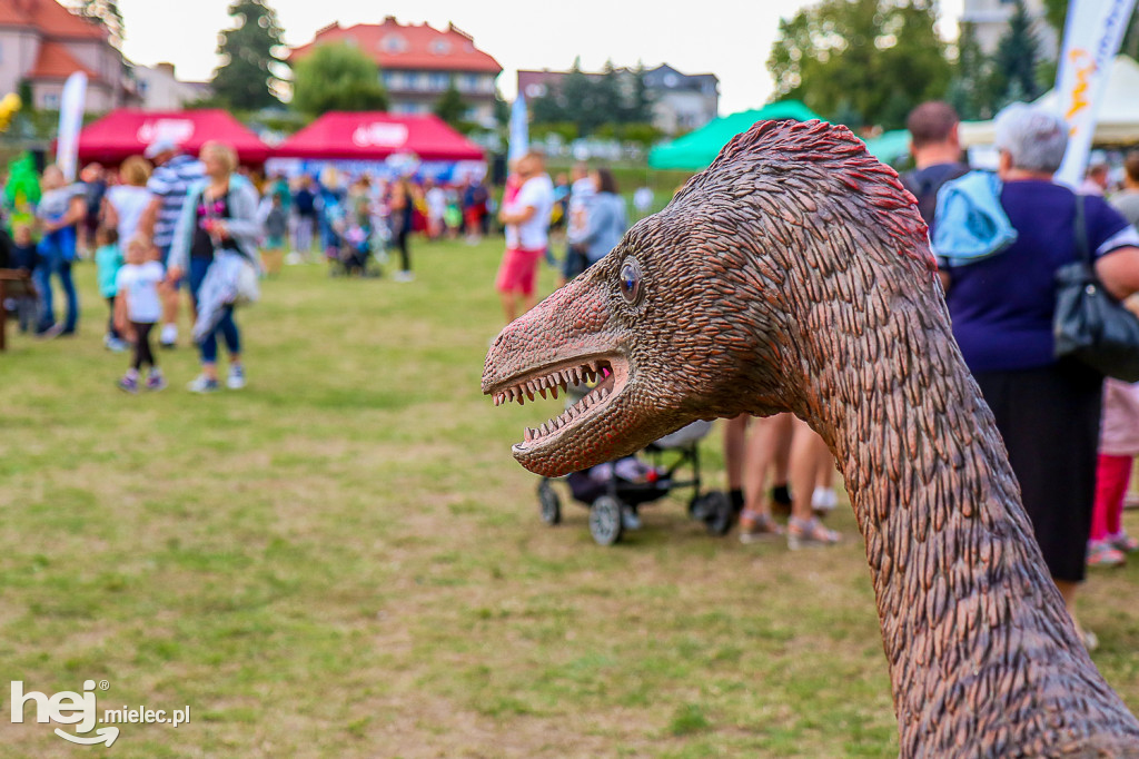 Piknik Grunt to Rodzinka 2019