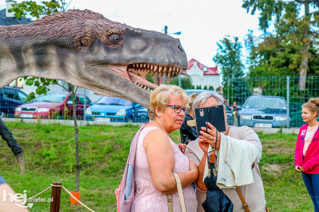 Piknik Grunt to Rodzinka 2019