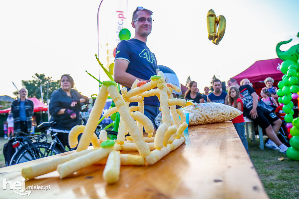 Piknik Grunt to Rodzinka 2019