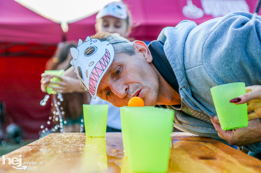 Piknik Grunt to Rodzinka 2019