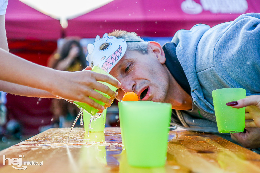 Piknik Grunt to Rodzinka 2019