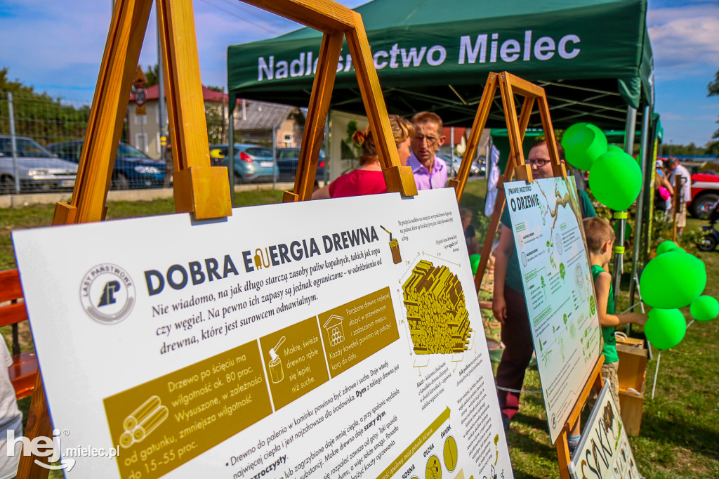 Piknik BEZPIECZNE WAKACJE