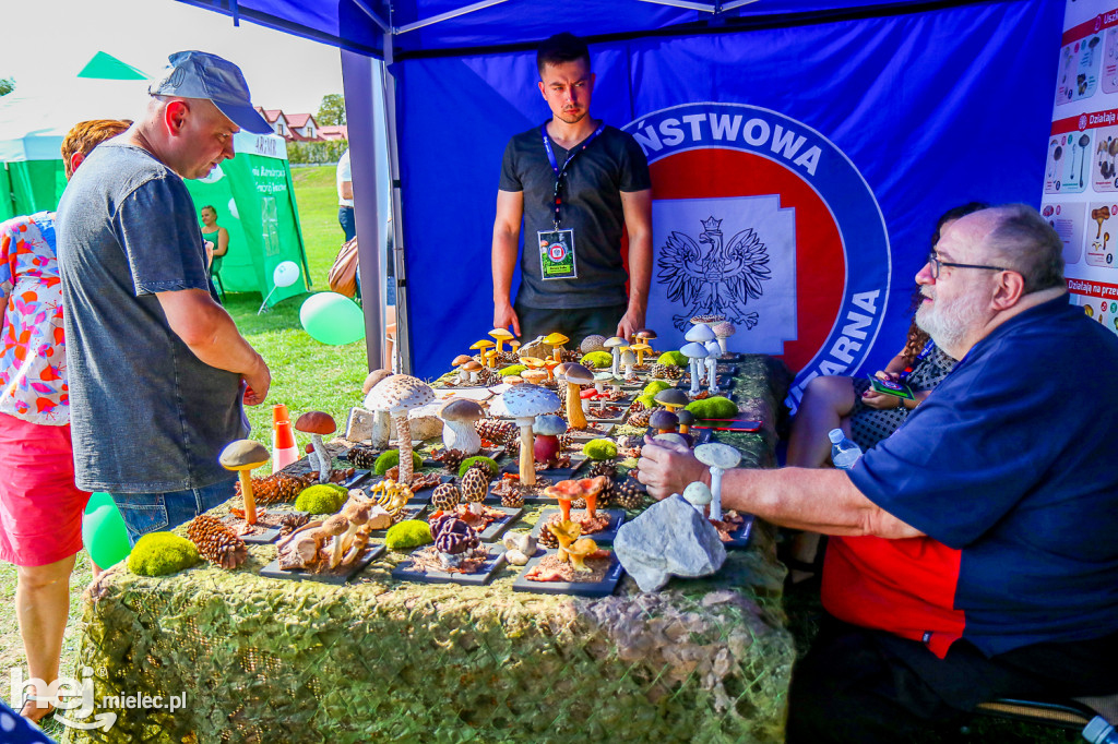 Piknik BEZPIECZNE WAKACJE