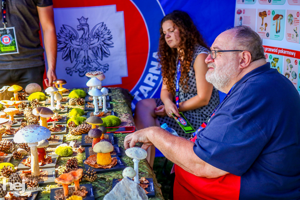 Piknik BEZPIECZNE WAKACJE