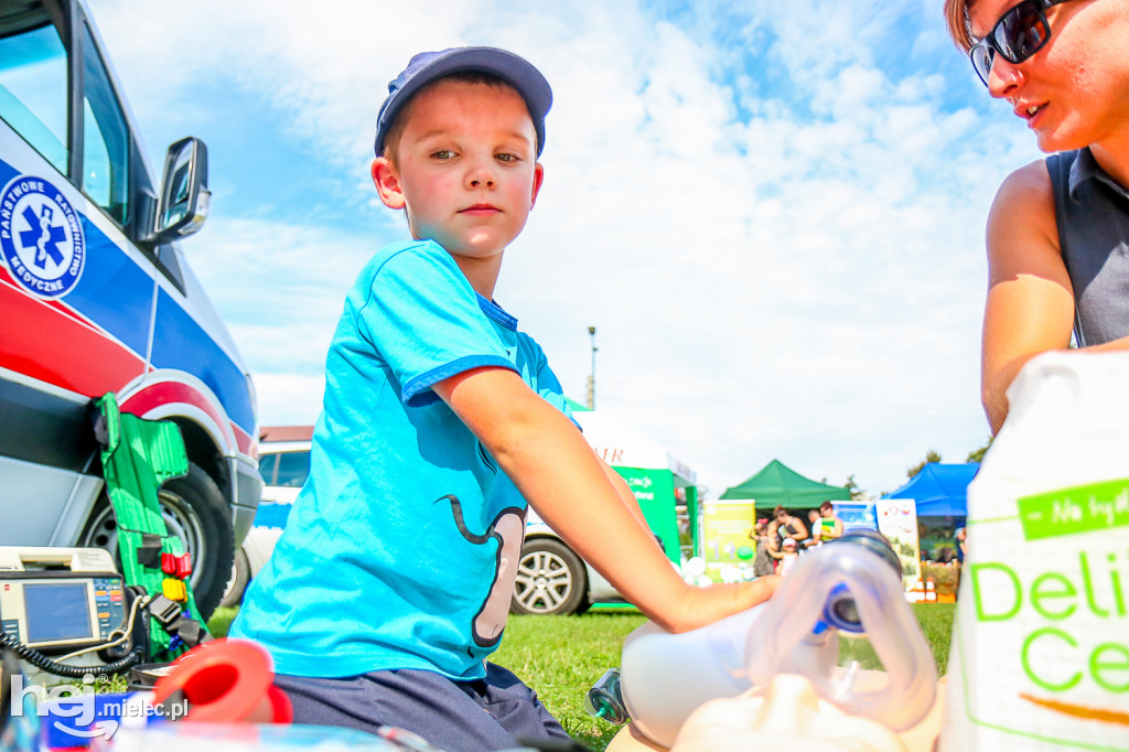 Piknik BEZPIECZNE WAKACJE