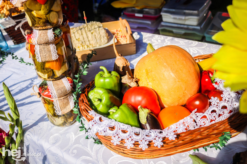 Dożynki 2019 w Wadowicach Dolnych