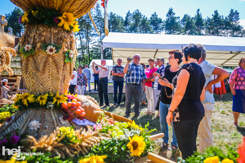 Dożynki 2019 w Woli Chorzelowskiej