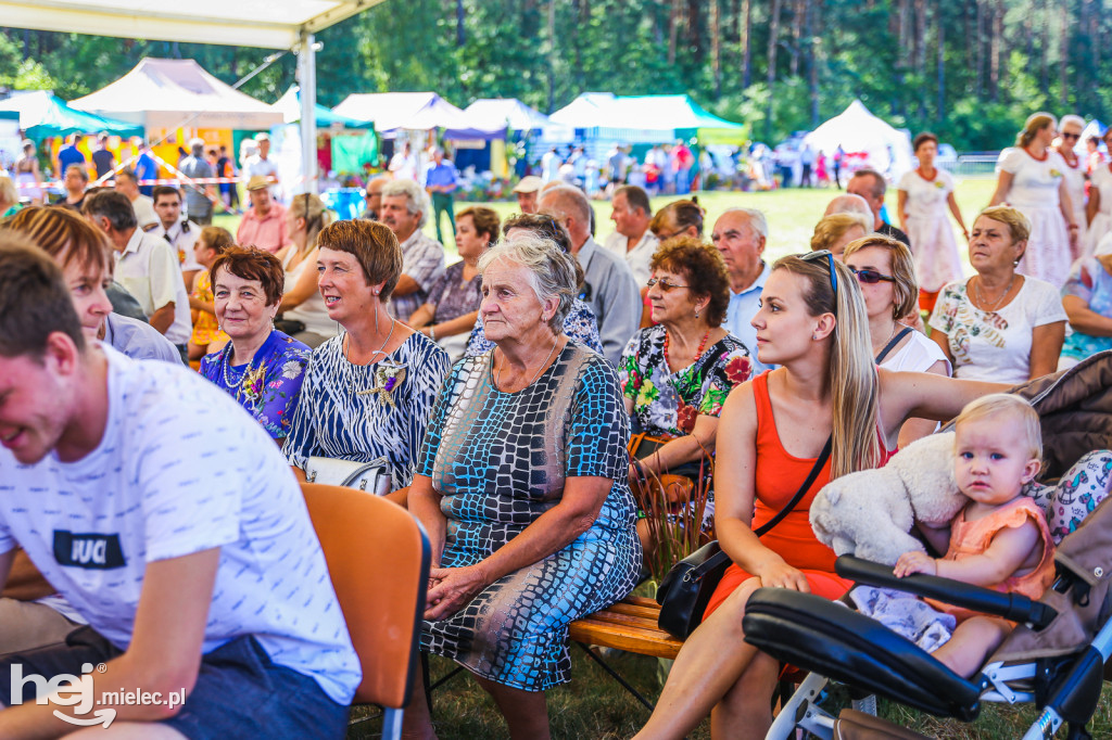 Dożynki 2019 w Woli Chorzelowskiej