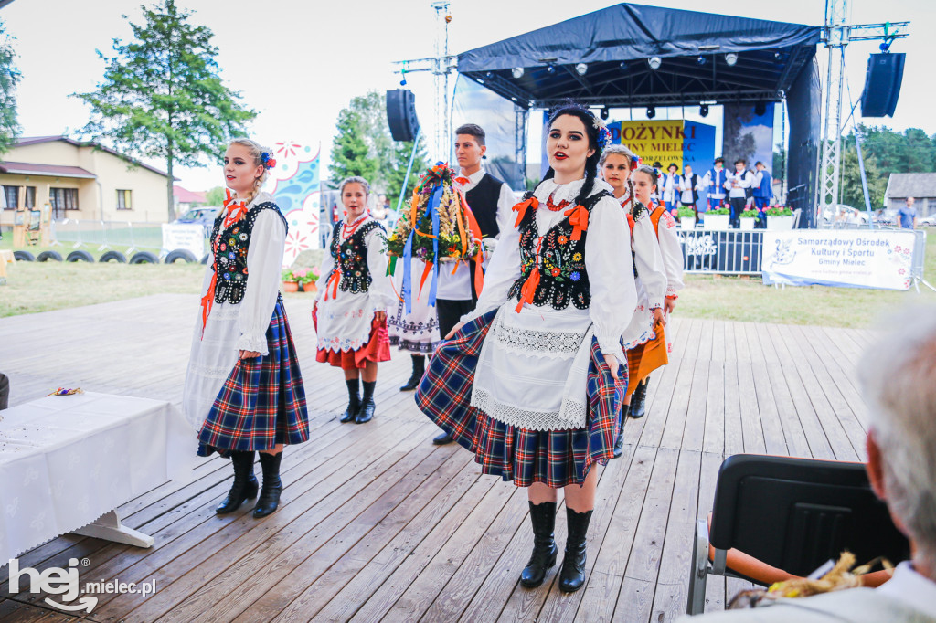 Dożynki 2019 w Woli Chorzelowskiej