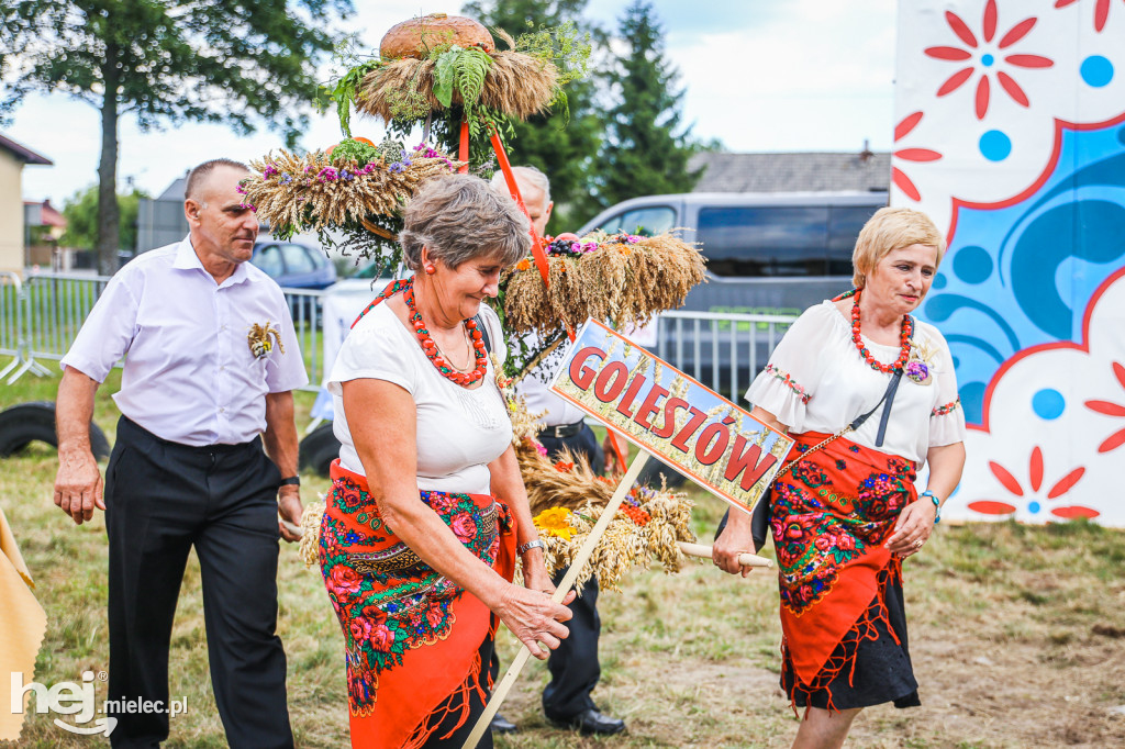 Dożynki 2019 w Woli Chorzelowskiej