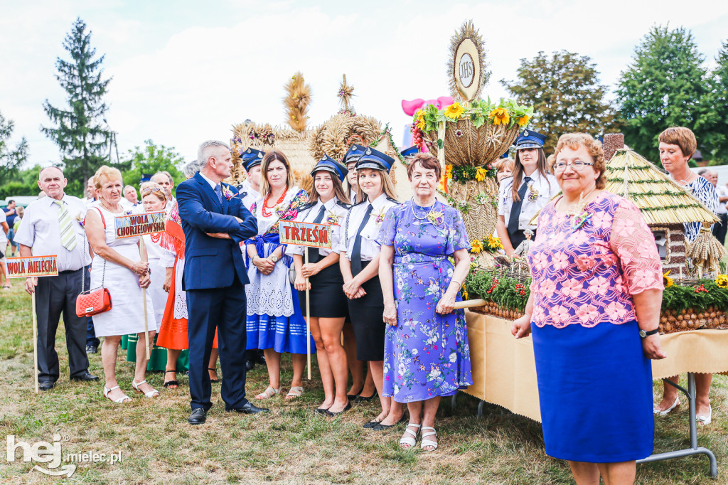 Dożynki 2019 w Woli Chorzelowskiej
