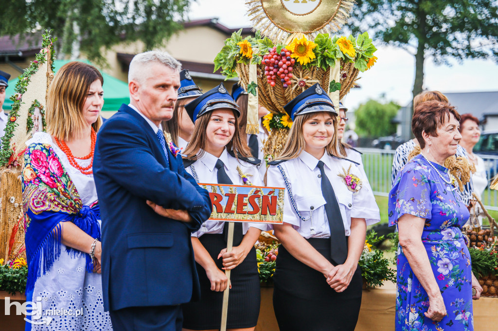 Dożynki 2019 w Woli Chorzelowskiej