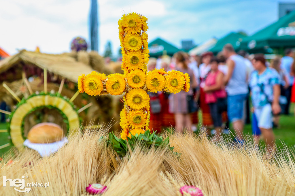 Dożynki 2019 w Partyni