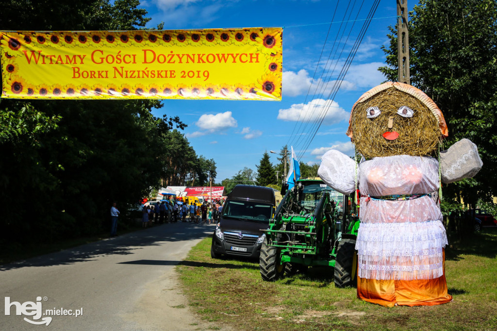 Dożynki 2019 w Borkach Nizińskich