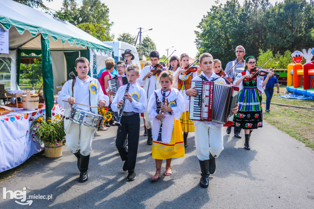 Dożynki 2019 w Borkach Nizińskich