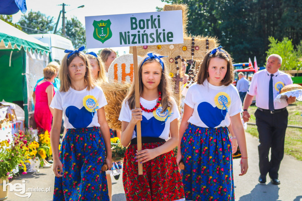 Dożynki 2019 w Borkach Nizińskich