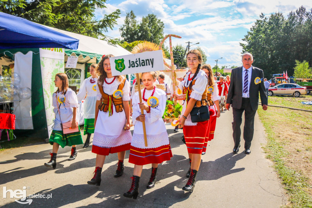 Dożynki 2019 w Borkach Nizińskich