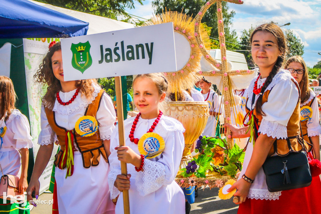 Dożynki 2019 w Borkach Nizińskich