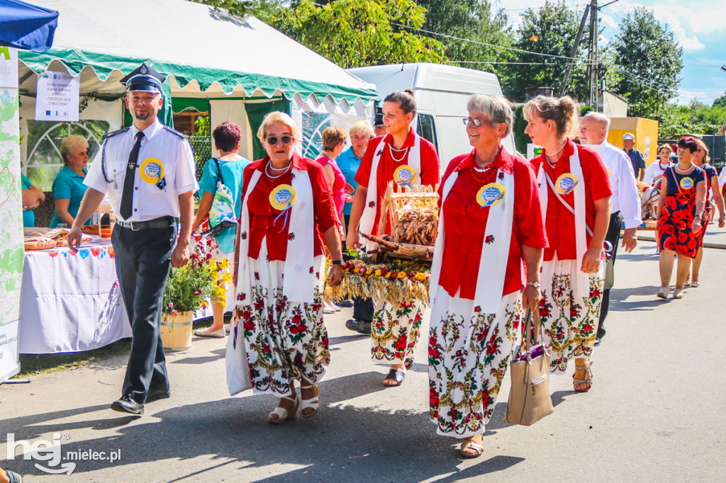Dożynki 2019 w Borkach Nizińskich