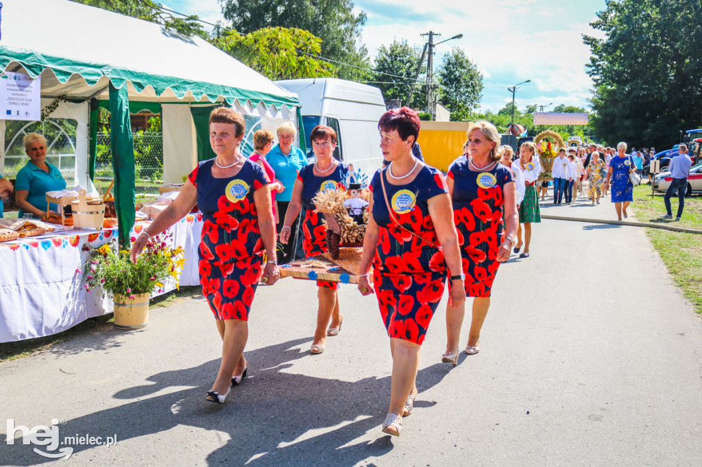 Dożynki 2019 w Borkach Nizińskich