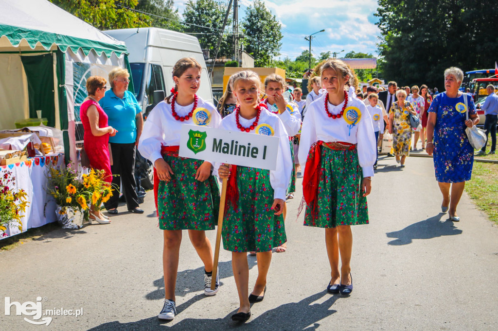 Dożynki 2019 w Borkach Nizińskich