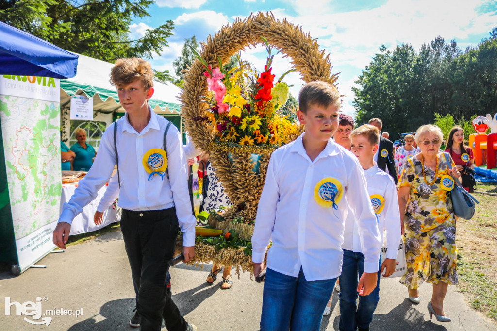 Dożynki 2019 w Borkach Nizińskich