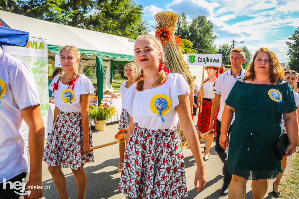 Dożynki 2019 w Borkach Nizińskich
