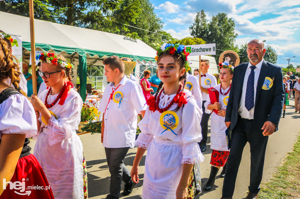 Dożynki 2019 w Borkach Nizińskich
