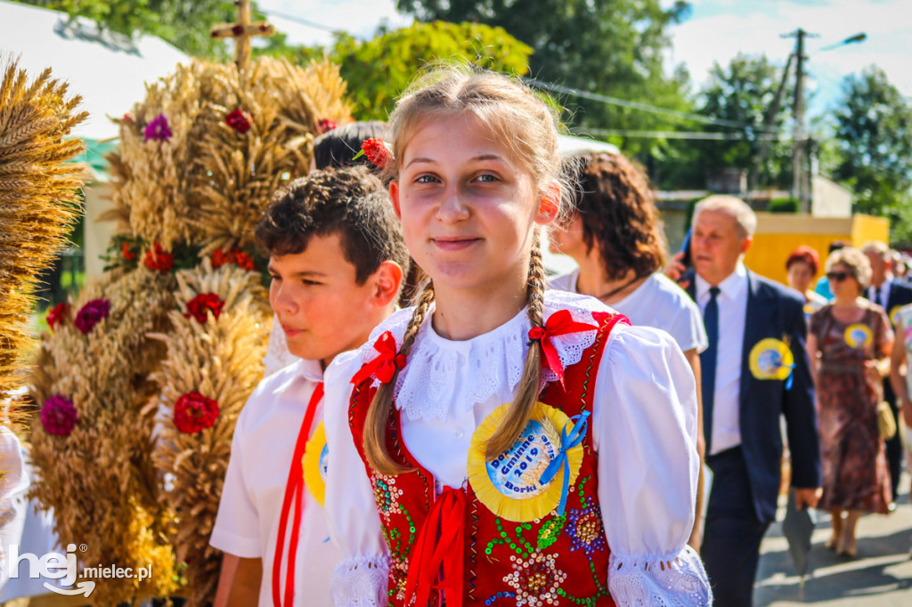 Dożynki 2019 w Borkach Nizińskich
