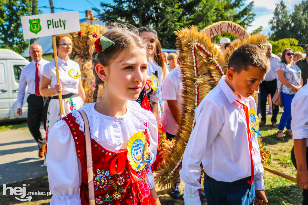 Dożynki 2019 w Borkach Nizińskich