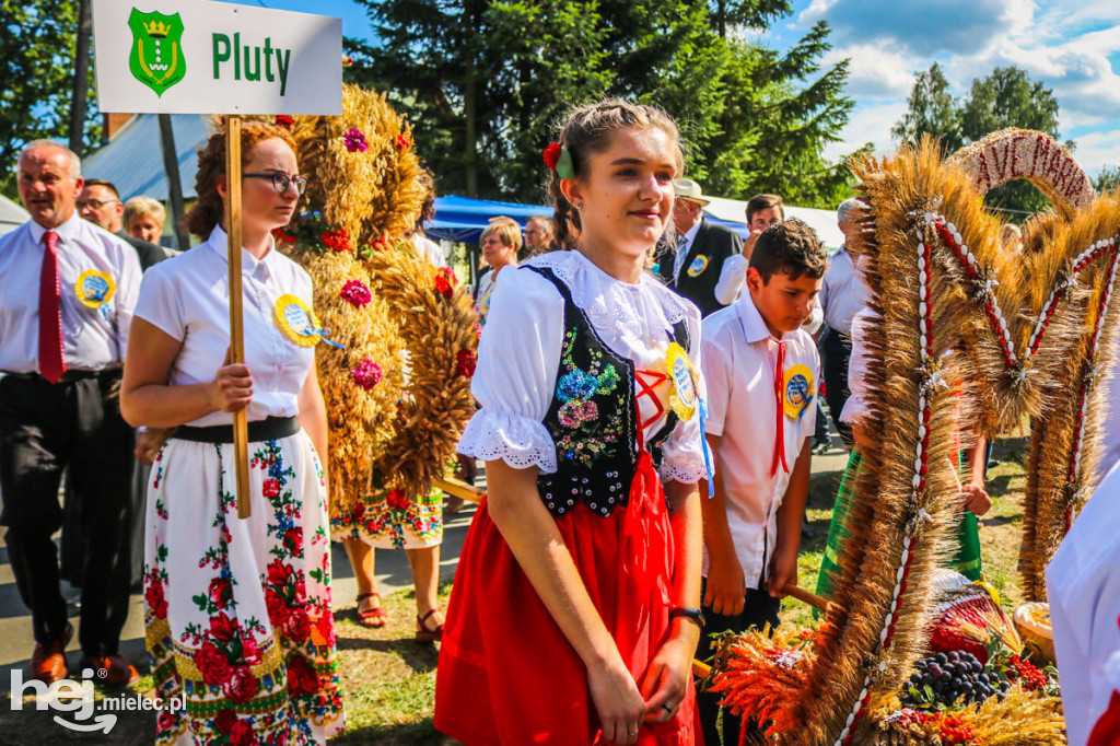 Dożynki 2019 w Borkach Nizińskich