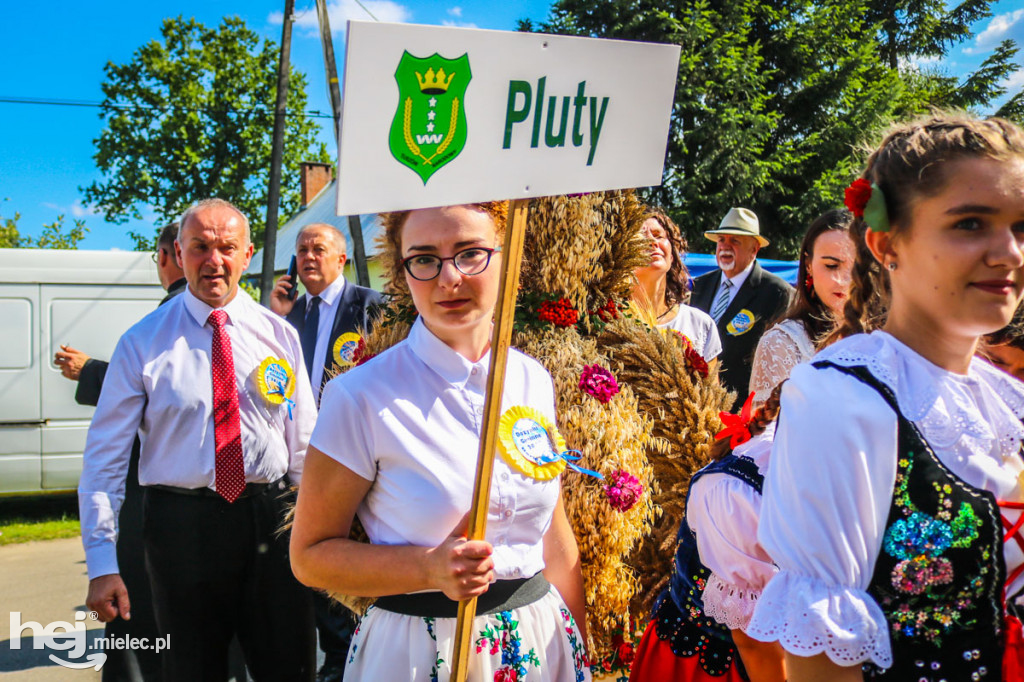 Dożynki 2019 w Borkach Nizińskich