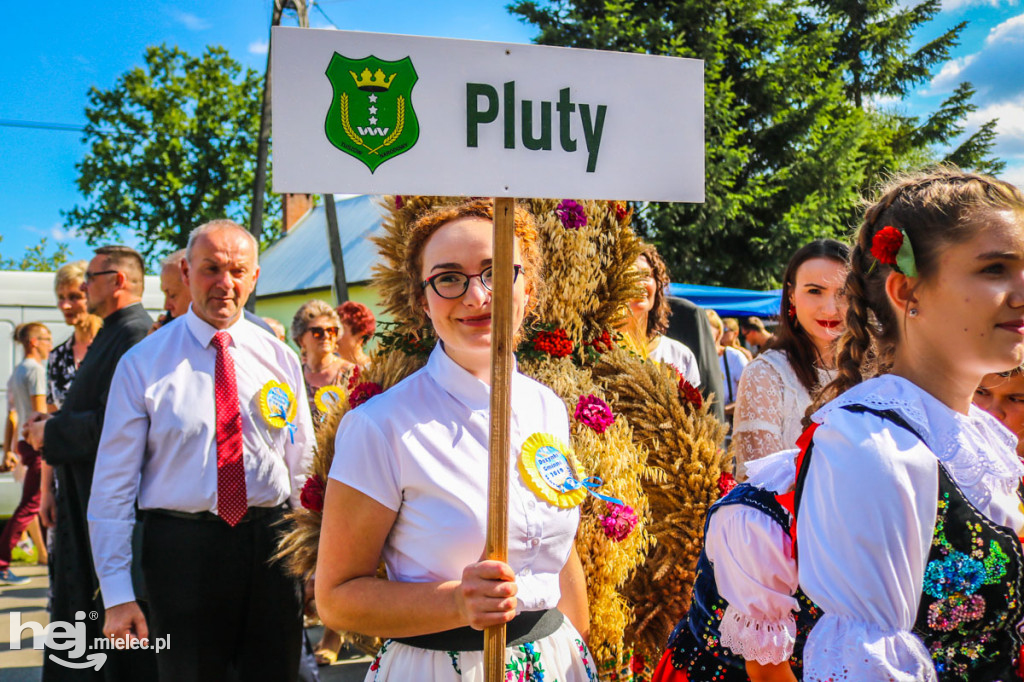 Dożynki 2019 w Borkach Nizińskich