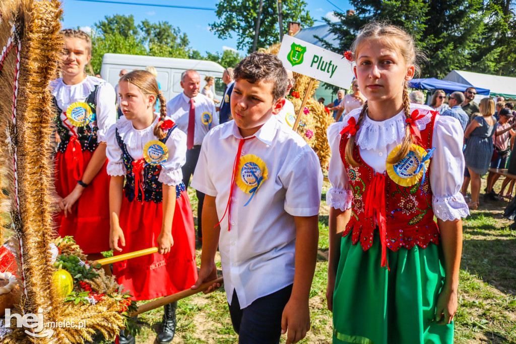 Dożynki 2019 w Borkach Nizińskich