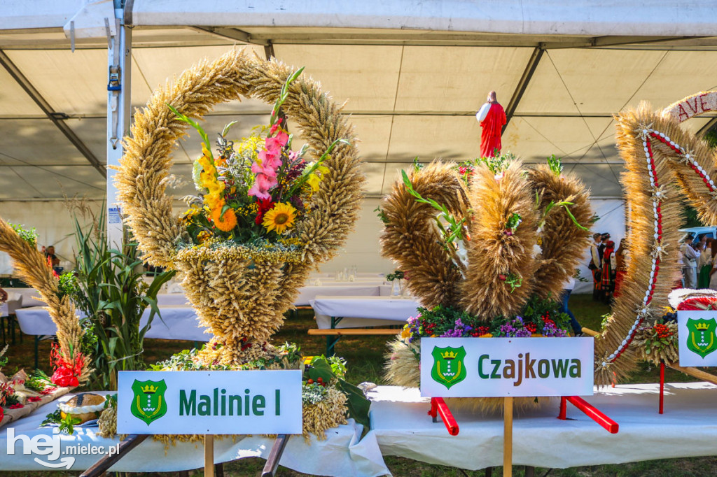 Dożynki 2019 w Borkach Nizińskich