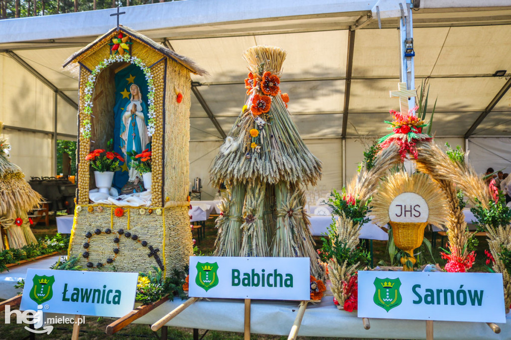Dożynki 2019 w Borkach Nizińskich