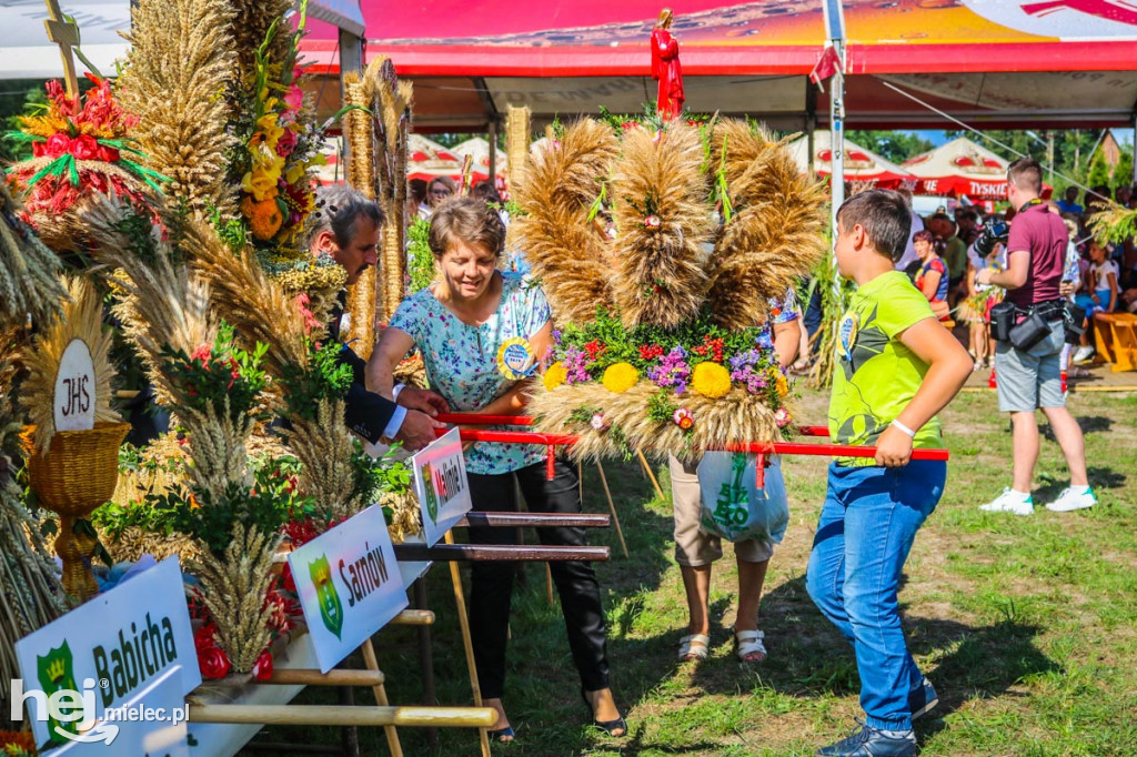 Dożynki 2019 w Borkach Nizińskich